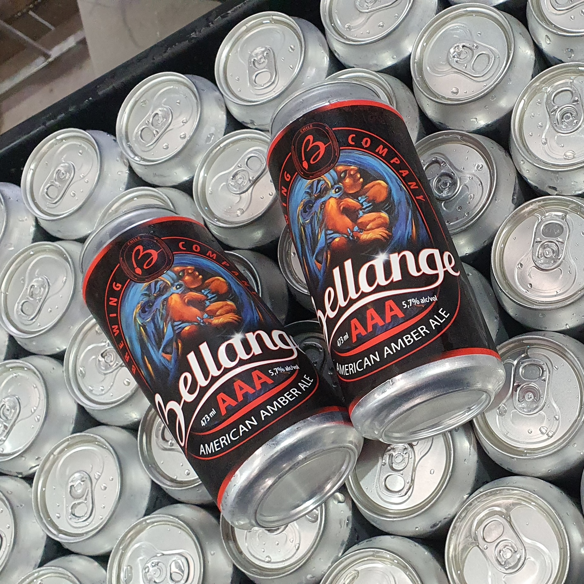 Nosotros 20230815 133814